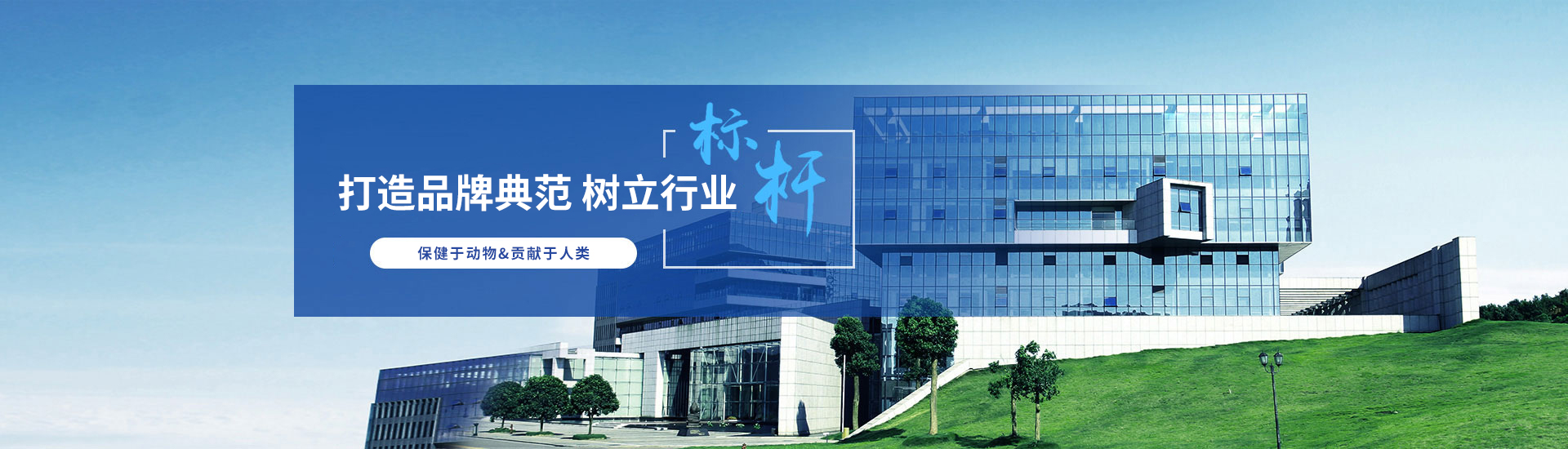 亚洲精品鲁一鲁一区二区三区
