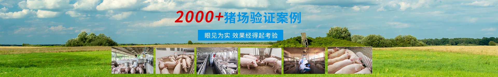 客户服务-亚洲精品鲁一鲁一区二区三区-四川女人毛多水多A片-18黄暴禁片在线观看-久久精品午夜福利视频十八禁-欧美性狂猛AAAAAA