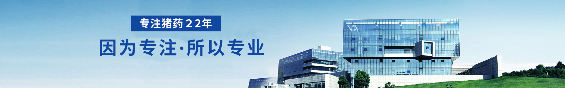 在线留言-亚洲精品鲁一鲁一区二区三区-四川女人毛多水多A片-18黄暴禁片在线观看-久久精品午夜福利视频十八禁-欧美性狂猛AAAAAA