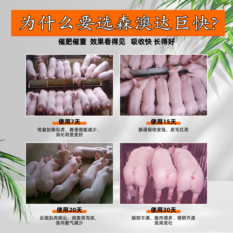 亚洲精品鲁一鲁一区二区三区