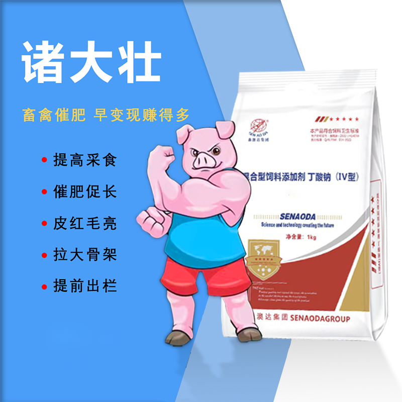 亚洲精品鲁一鲁一区二区三区