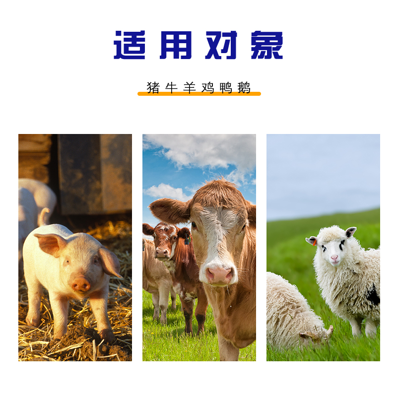 亚洲精品鲁一鲁一区二区三区