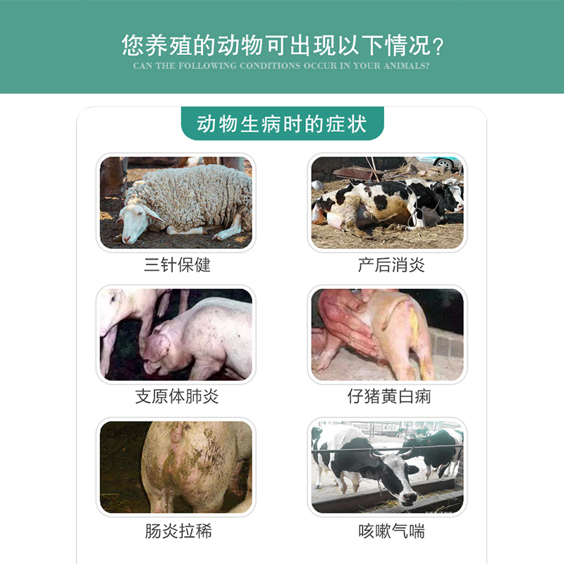 亚洲精品鲁一鲁一区二区三区