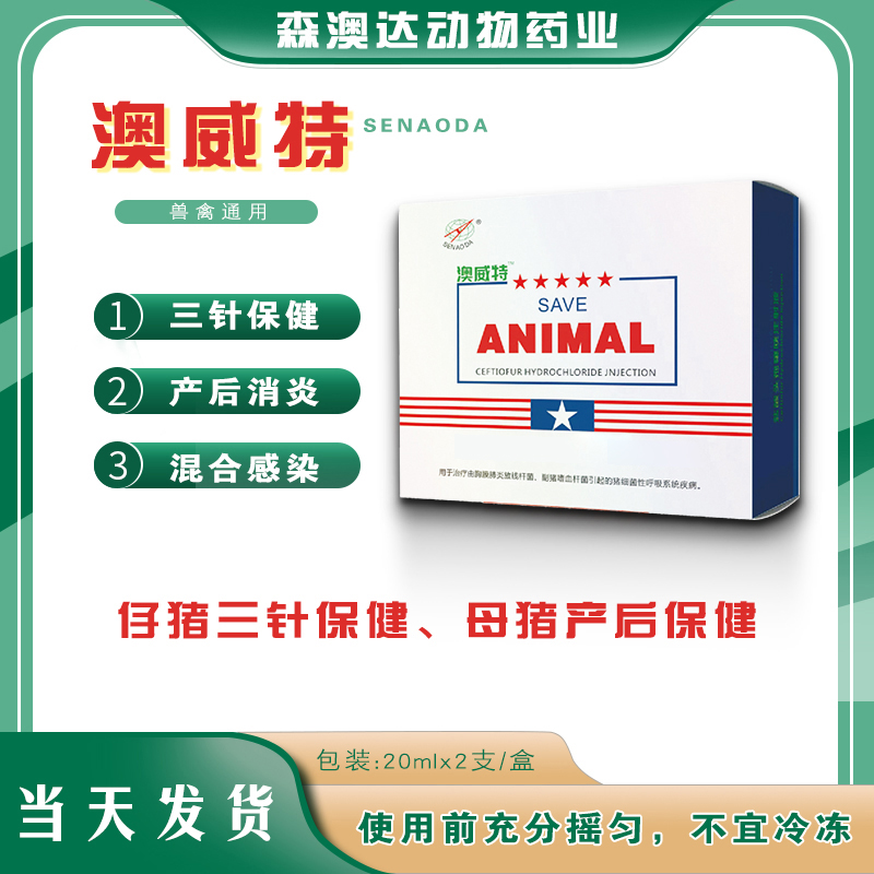 亚洲精品鲁一鲁一区二区三区