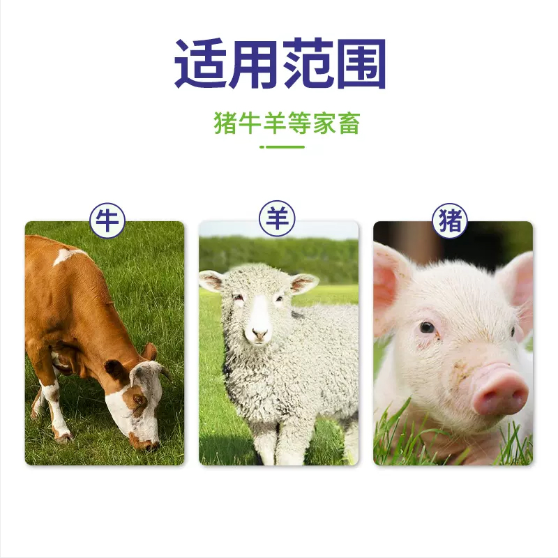 亚洲精品鲁一鲁一区二区三区