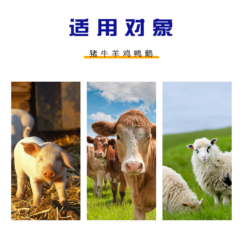 亚洲精品鲁一鲁一区二区三区