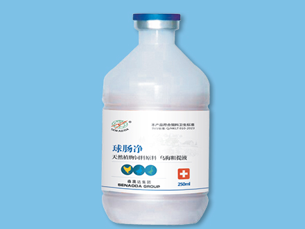 亚洲精品鲁一鲁一区二区三区