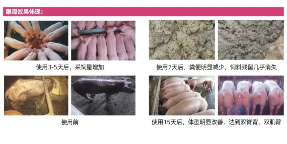 微信图片_20240809112048.jpg