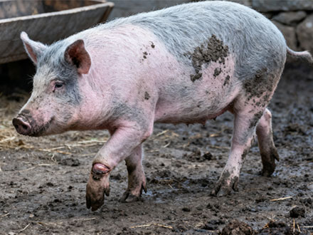 1765333274179032.jpg 01.jpg