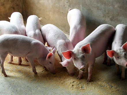 1765333294749100.jpg 03.jpg