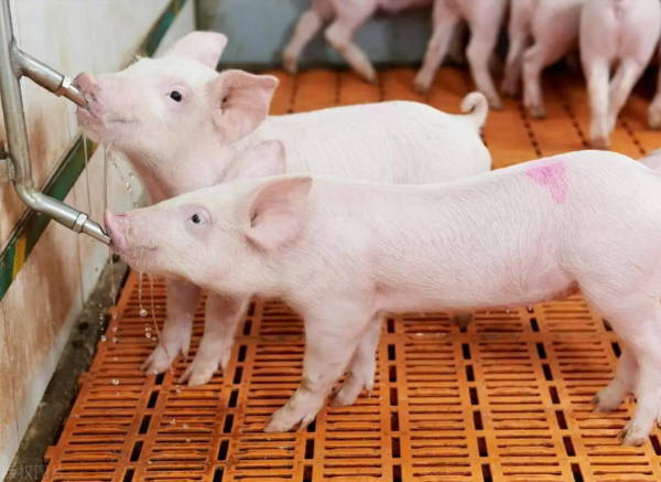 1766108953185525.png ScreenShot_2025-12-19_093846_795.png