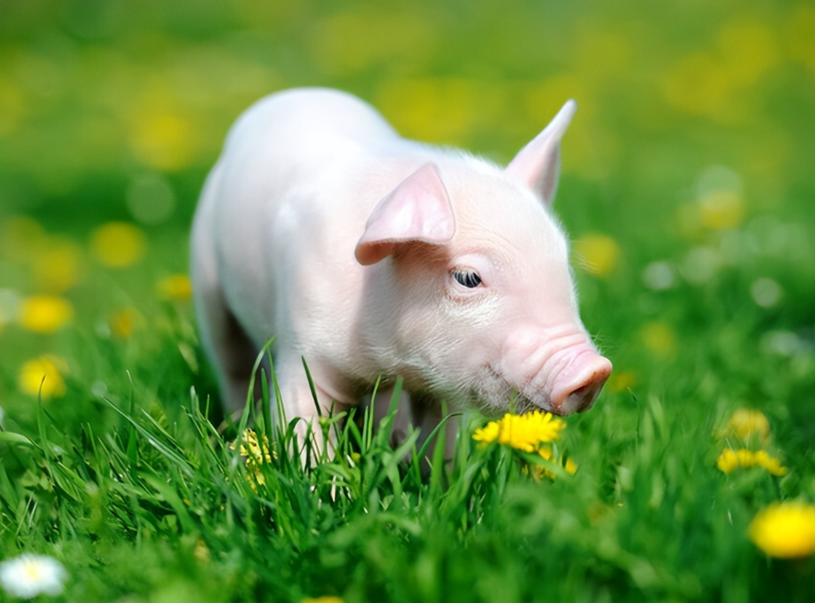 1766194620172664.png ScreenShot_2025-12-20_091408_878.png