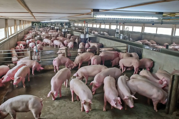 1766381996121941.png ScreenShot_2025-12-22_114849_342.png