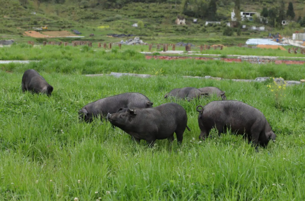 1766628339137223.png ScreenShot_2025-12-04_093027_322.png