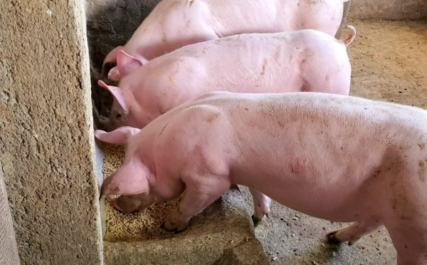 1768189376125123.png ScreenShot_2025-12-02_153414_594.png