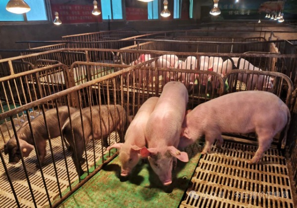 1768357173964589.jpg 微信图片_20260114093515_36_77.jpg