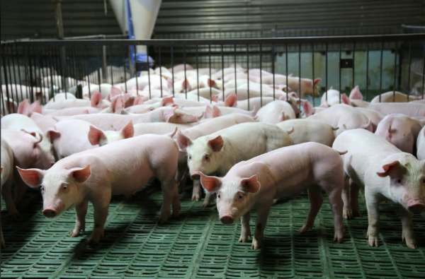 1769072962180287.png ScreenShot_2026-01-22_155010_588.png