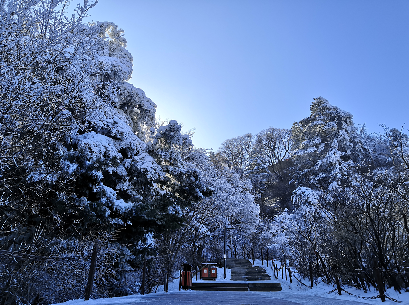 图片14.png 图片14.png