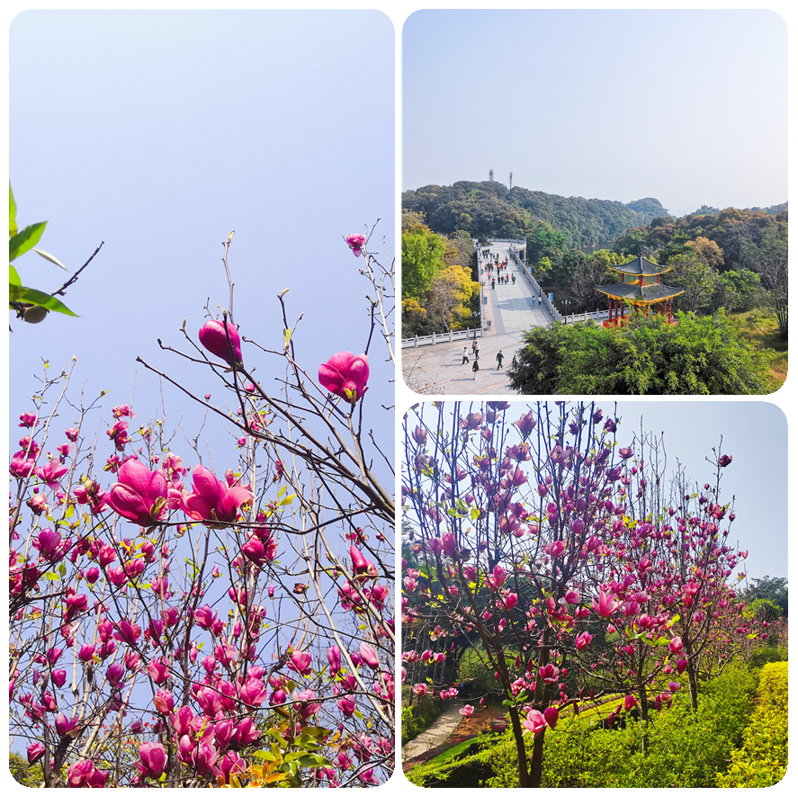 图片5.png 图片5.png